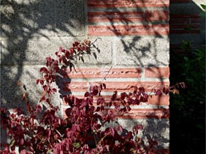 Courtyard wall detail and planting